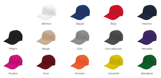 Gorra 6009M