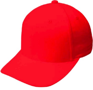 gorra 6017