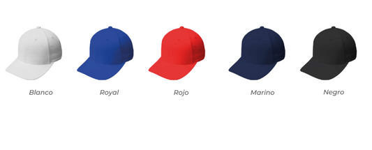 gorra 6017